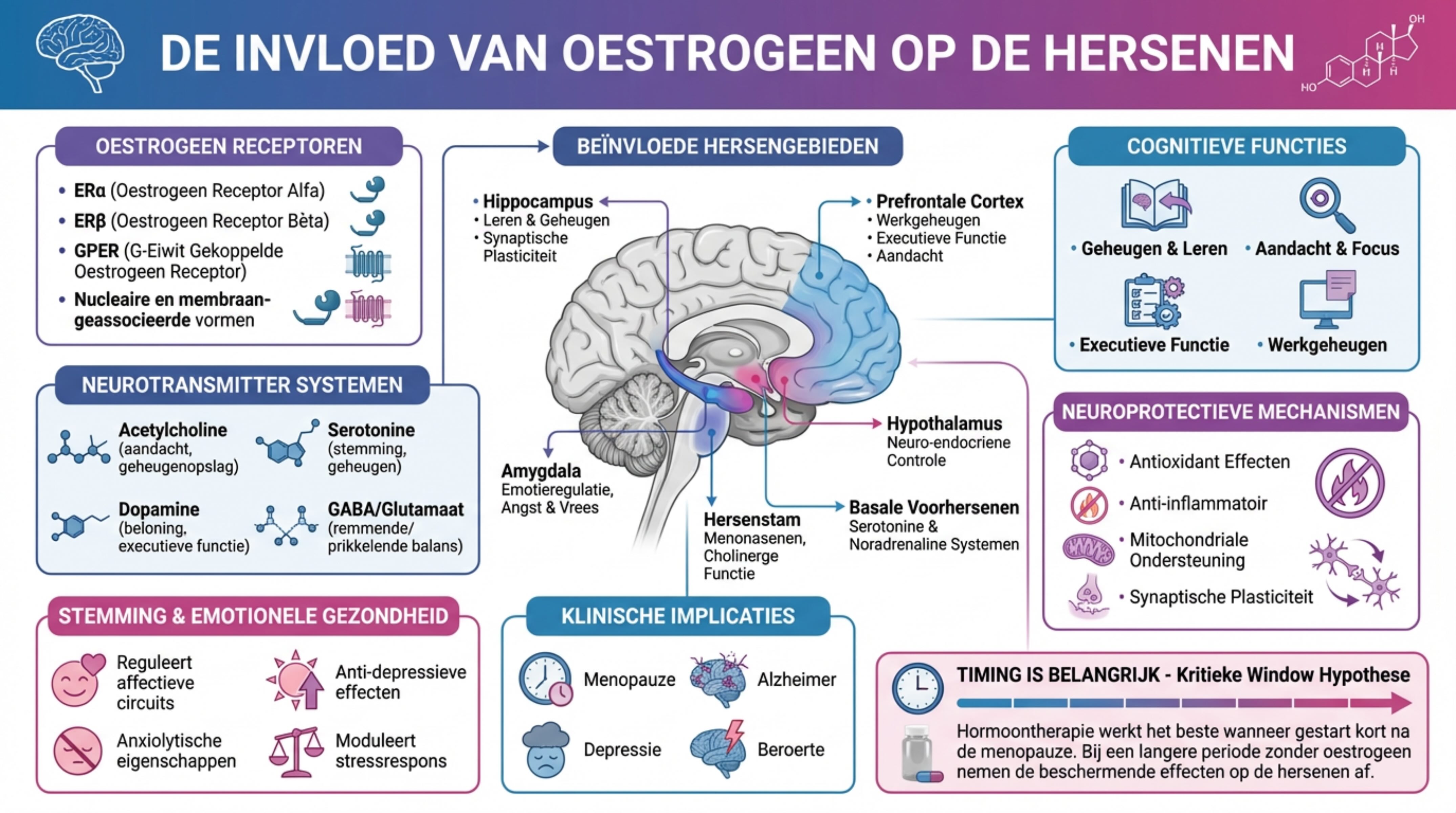 invloed oestrogeen brein
